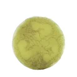 Ayuna - Spirulite